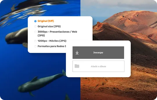 fotos de opciones de brandcenter